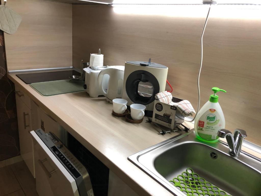 Kuchyň nebo kuchyňský kout v ubytování Velence Spa Apartman