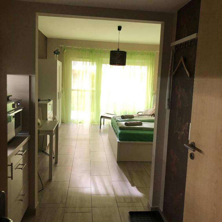 Kuchyň nebo kuchyňský kout v ubytování Velence Spa Apartman