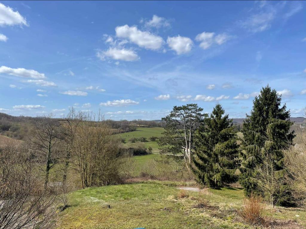 a view from the top of a hill with trees at Enjoy Durbuy 2 in Durbuy