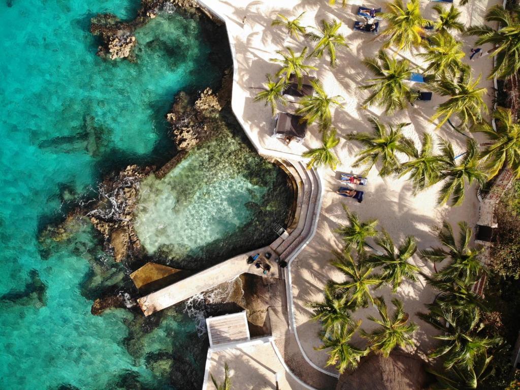 una vista aerea di una strada sulla spiaggia con palme di Cozumel Hotel & Resort a Cozumel