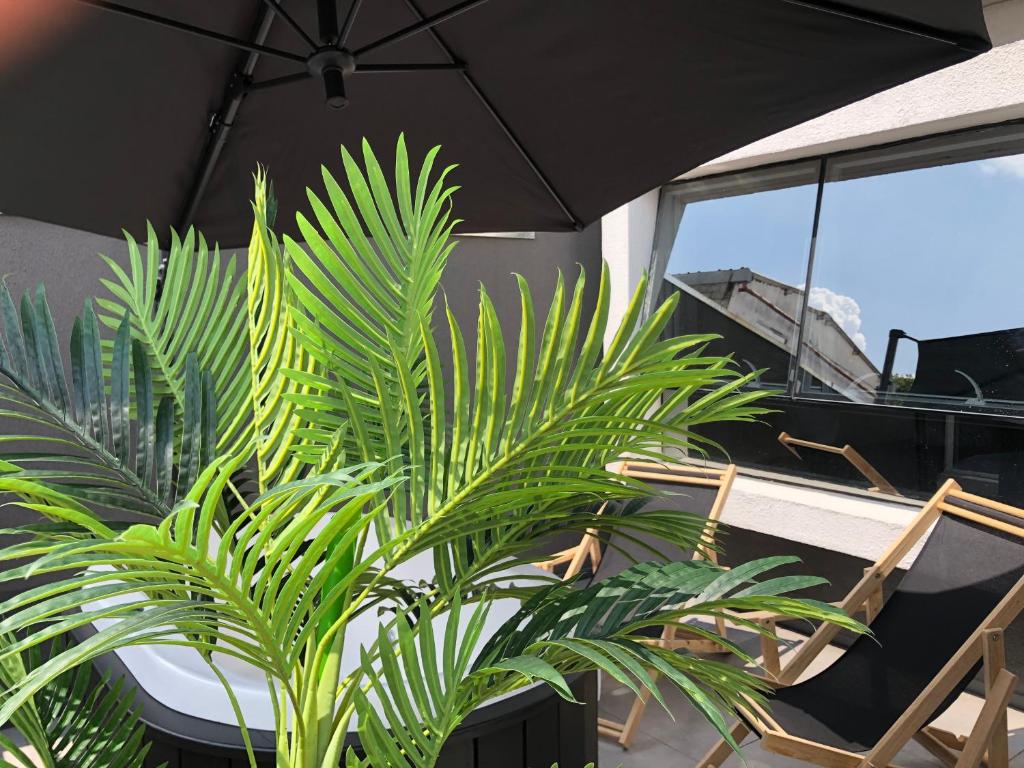  Pinheiros Estilo Premium com Jacuzzi