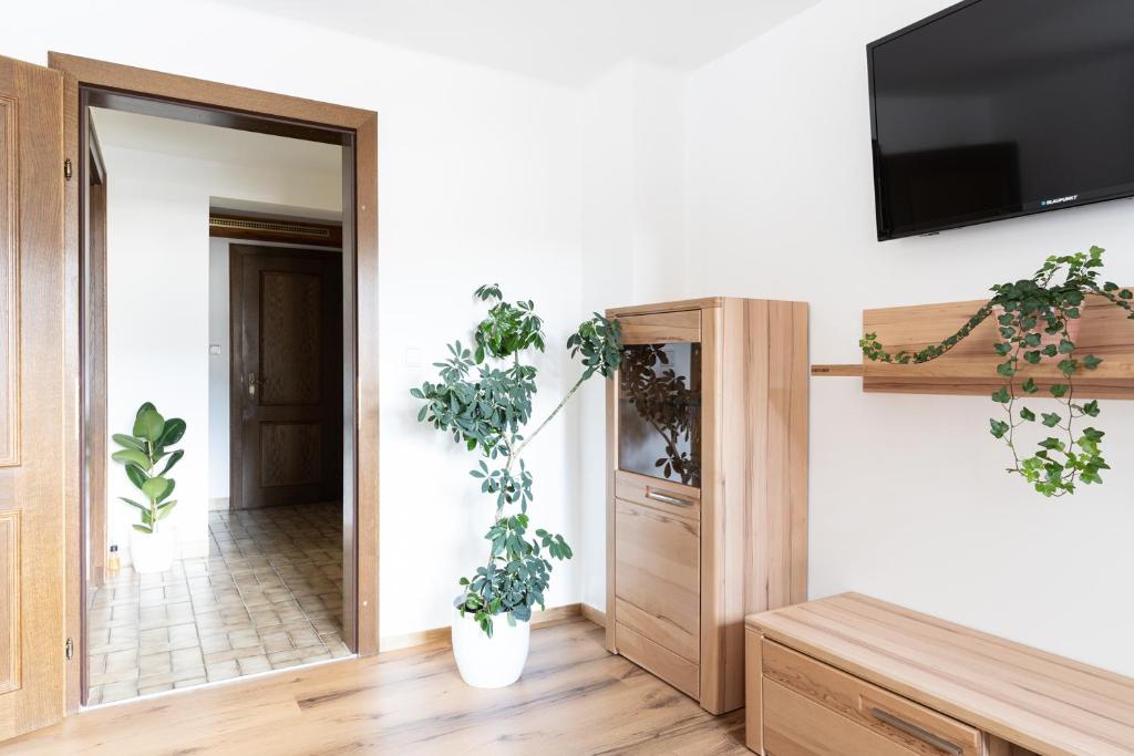Televízia a/alebo spoločenská miestnosť v ubytovaní Appartement Taurachblick