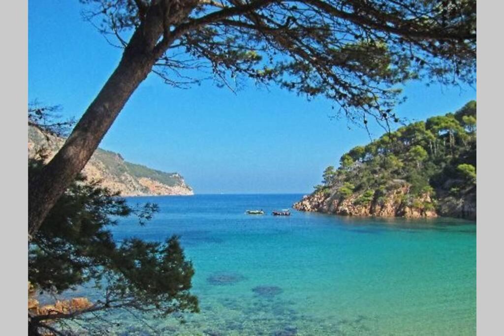 Appartment with swimming pool, near to the beach, Llafranc ...