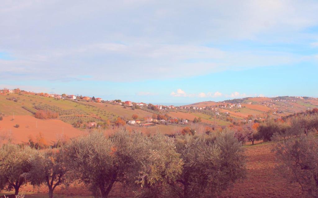 un campo alberato e case su una collina di b&b L'Alloggio a Fermo