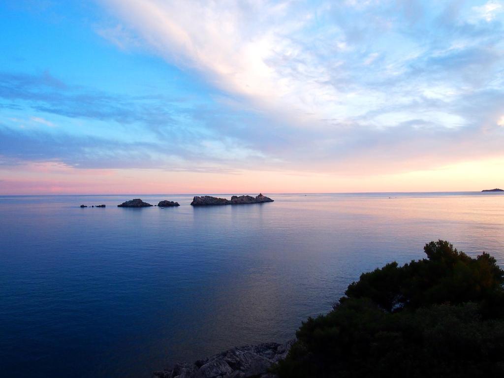 Royal Palm Hotel - Resim 45