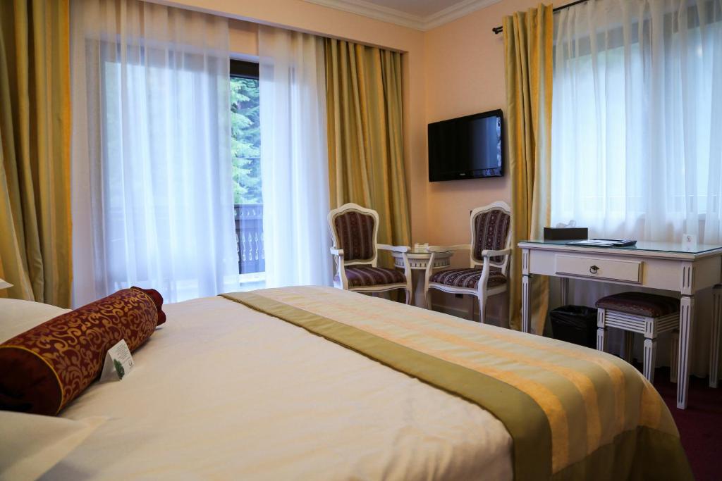 TV a/nebo společenská místnost v ubytování Hotel Foisorul cu Flori