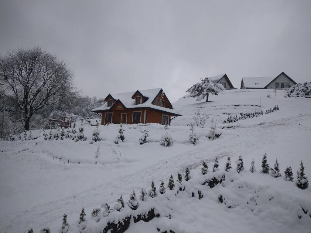 Obiekt Leśny Dworek 1 zimą