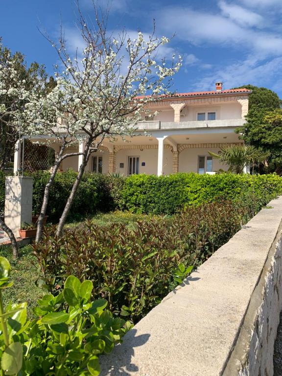 a house with a tree in front of a sidewalk at Apartmans and rooms ''Slavica'' in Novalja