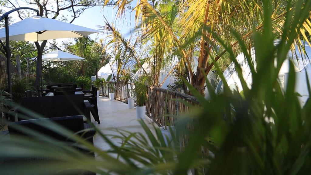Zahrada ubytování Glamping Tulum with private mini pool