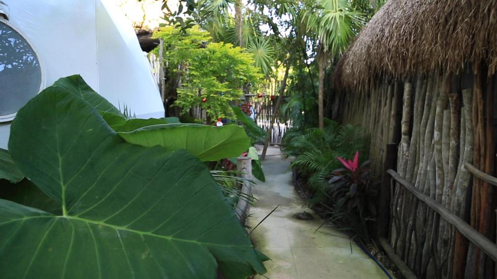 Zahrada ubytování Glamping Tulum with private mini pool