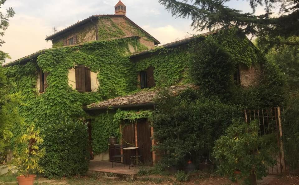 Zahrada ubytování Poggio Etrusco sas di Sheldon Johns Pamela Kay