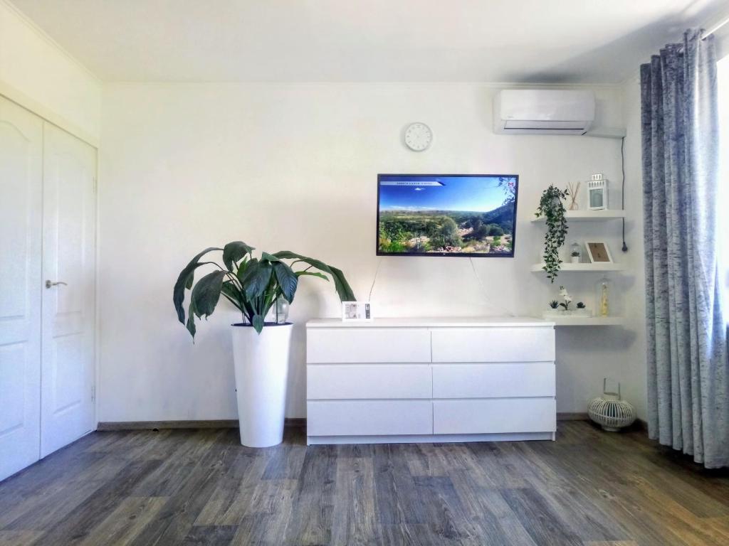 a living room with a white cabinet and a plant at Біла 1 к Сіті центр 4 поверх ліфт вікна на парк in Mykolaiv