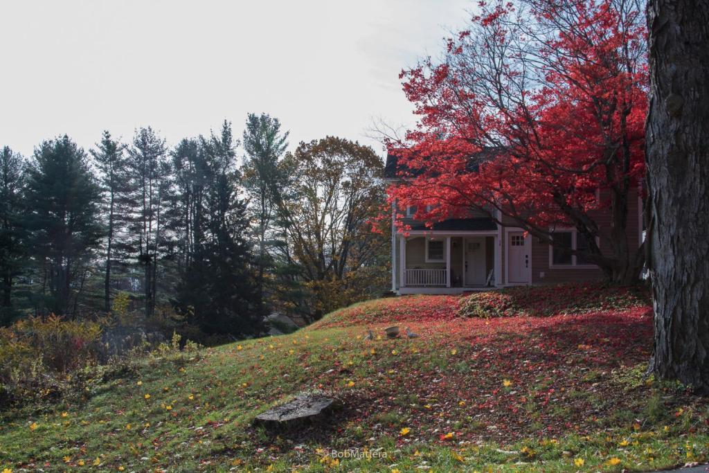 Restored 1881 Farm House - Holiday Home
