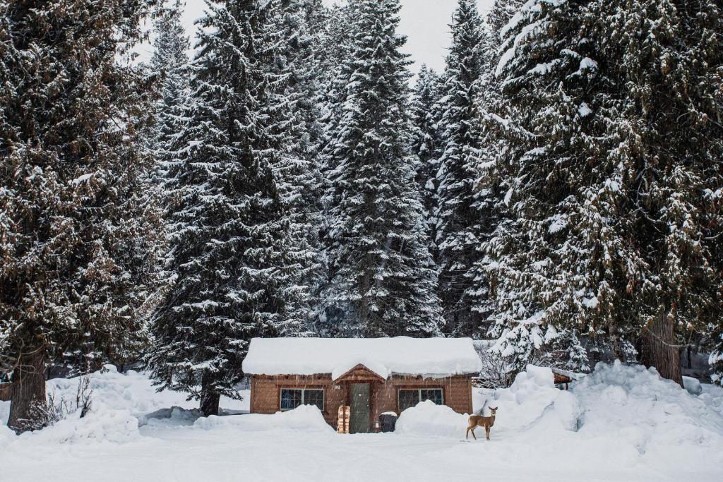 Lochsa Lodge talvel