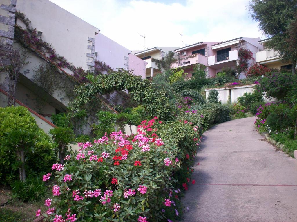 einen Garten mit rosa Blumen neben einem Gebäude in der Unterkunft VEDERE vale più di mille parole in Badesi