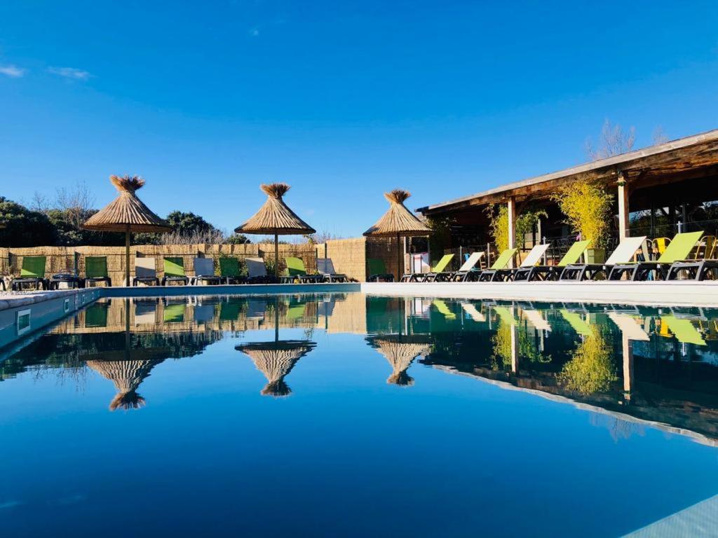 - une piscine dans un complexe avec des chaises et de l'eau dans l'établissement Lodges en Provence - Ecogîtes & Restaurant insolites, à Richerenches