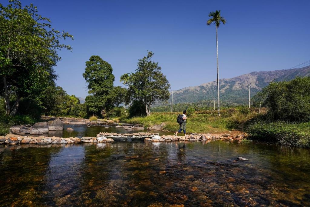 a man standing on rocks in a river at Agraharam Resorts in Thirunelli