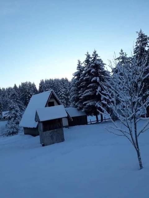 Laura durante o inverno