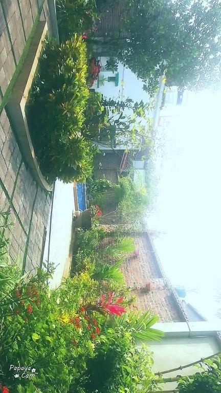 Tamcoc Mr. Cau Homestay - 15