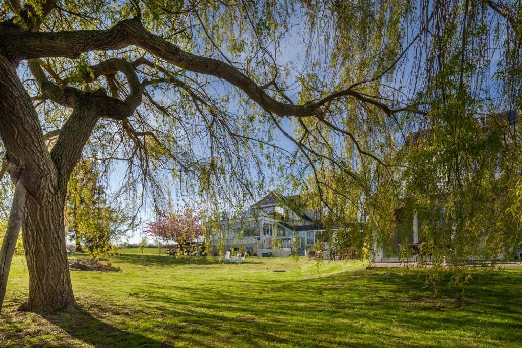 Zahrada ubytování HofHotel Krähenberg