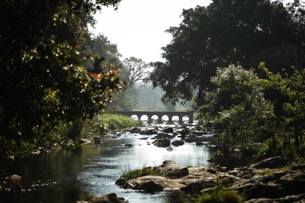 a river with rocks and a bridge in the background at Agraharam Resorts in Thirunelli