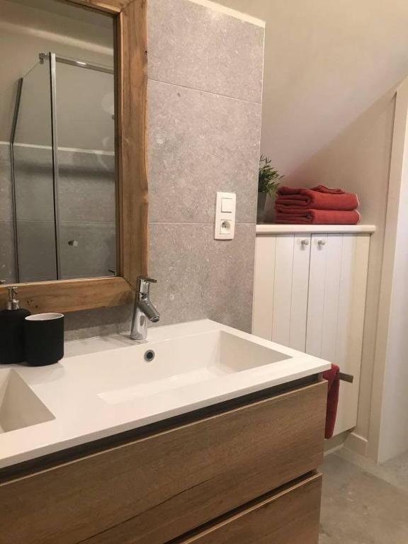 Koupelna v ubytování B&B Rosselaer