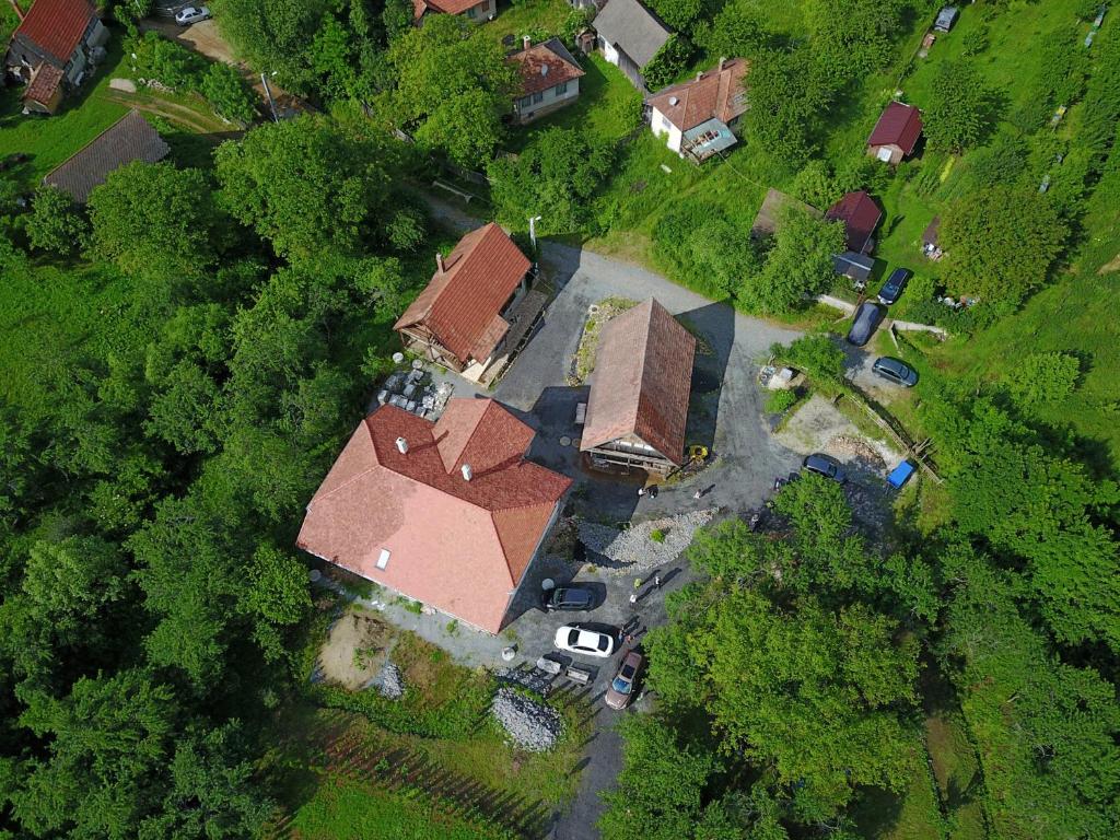 an overhead view of a house in a forest at Pensiunea Energy in Căpuşu Mic
