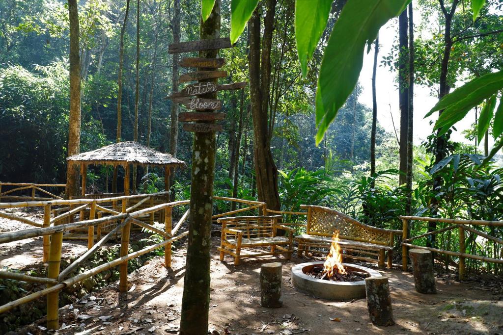 Zahrada ubytování Casillda Munnar