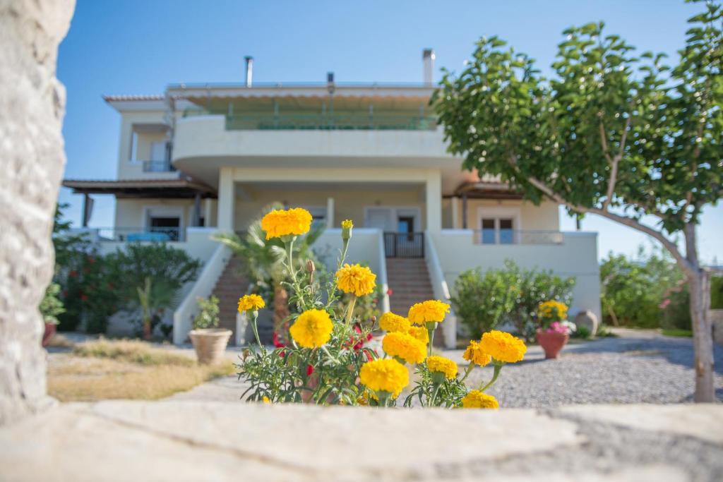 a bunch of yellow flowers in front of a house at Ktima Develekou in Pigádhia