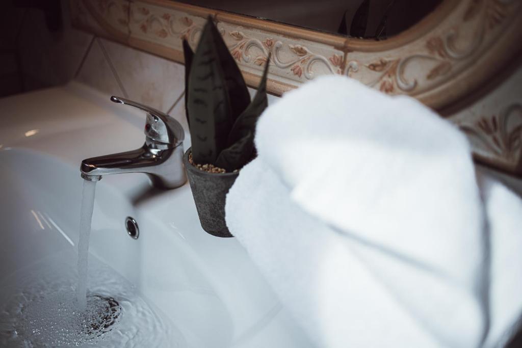 Akti Hotel Ioannina - Resim 34