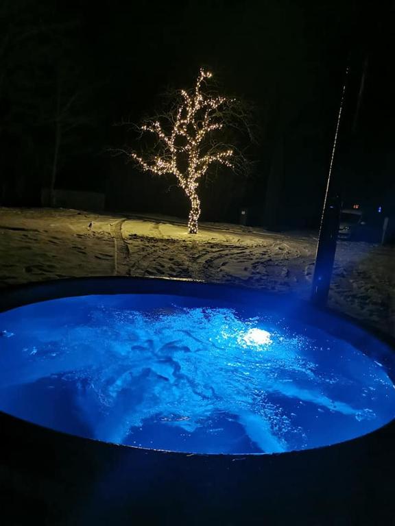 Bazén v ubytování Atpūtas vieta Ežezers nebo v jeho okolí