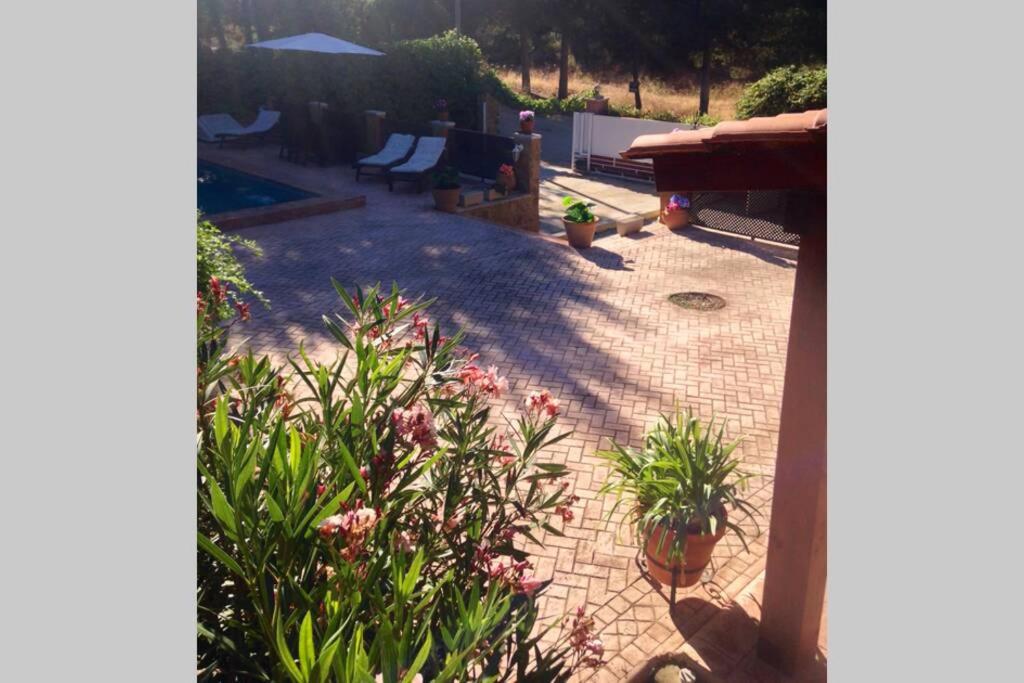 Chalet rural con piscina en plena naturaleza, Tibi ...