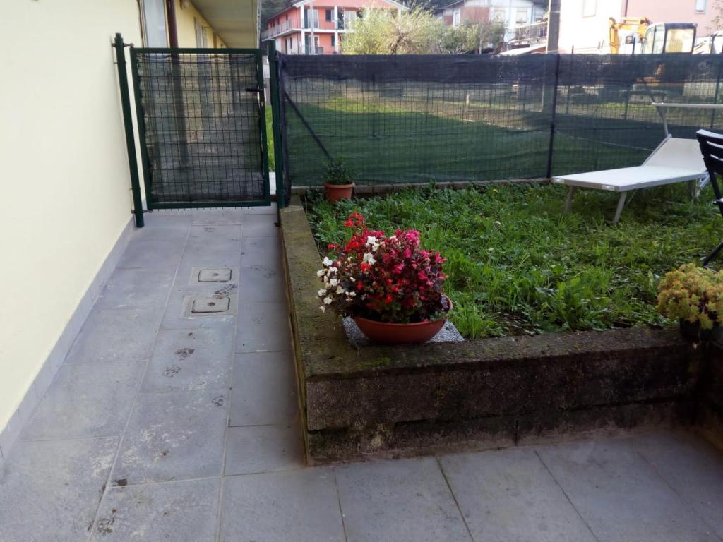 Fotografia z galérie ubytovania Appartamento in Toscana con Piscina e giardino v destinácii Arpiola