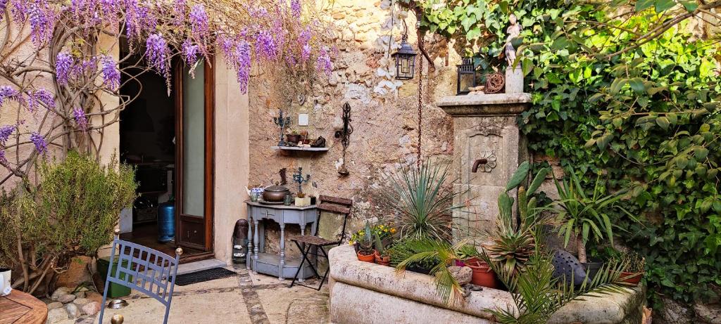 un jardín con un montón de plantas y flores en Villa Fontilha en Usclas-lʼHérault