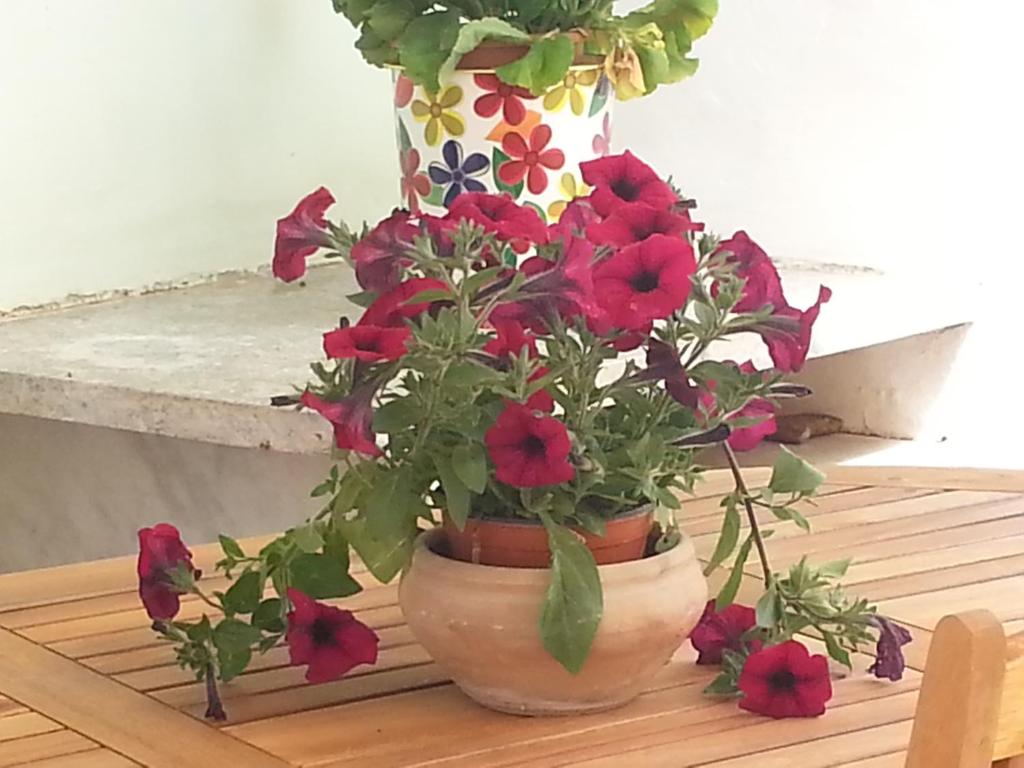 Kép Il Giardino Del Purgatorio szállásáról Marsalában a galériában