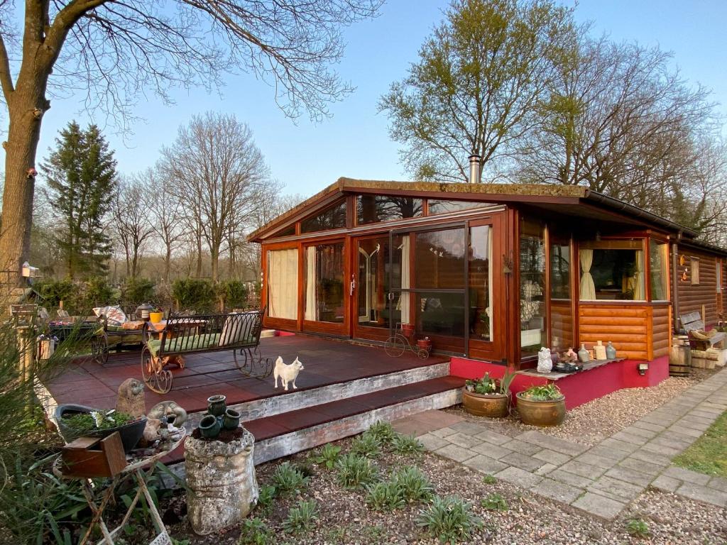 Cabaña pequeña con un gato sentado en un patio en Chalet de kleine Eekhoorn, en Lage Mierde