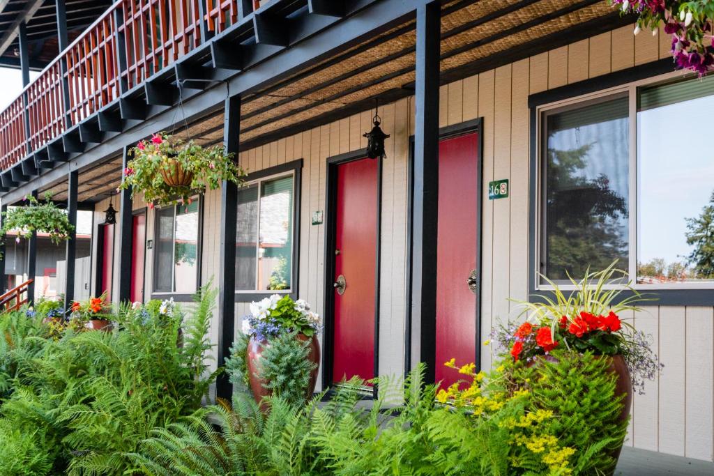 Zahrada ubytování Discovery Inn