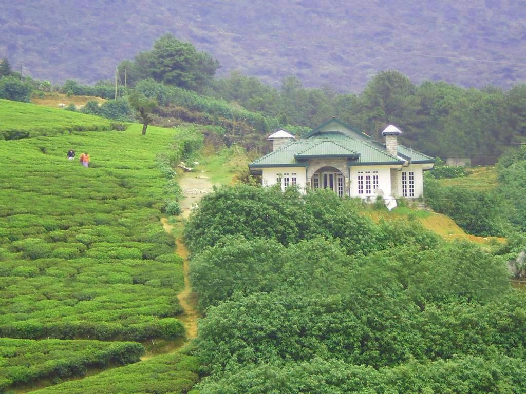 a house on a hill in a tea plantation at The Royal Terrace Holiday Bungalow in Nuwara Eliya
