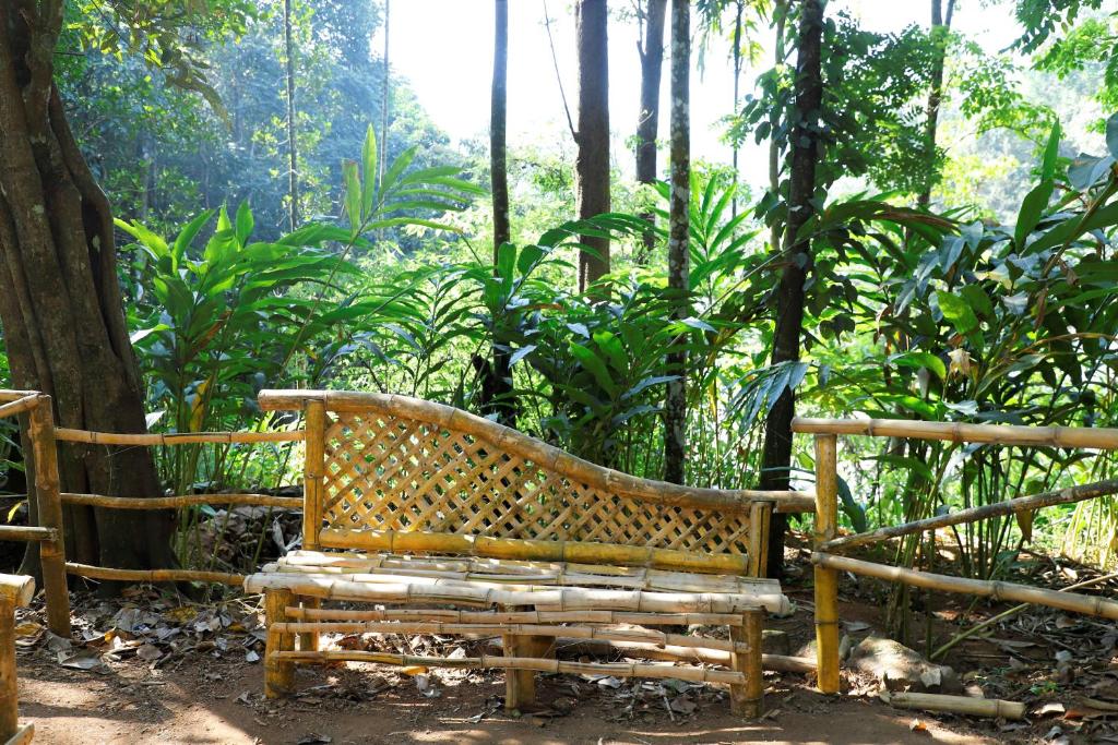 Zahrada ubytování Casillda Munnar