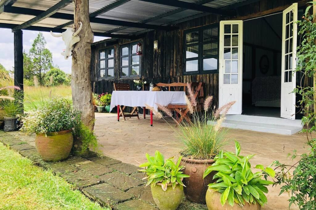 eine Terrasse mit einem weißen Tisch und einigen Pflanzen in der Unterkunft Dream the Days away by Yourhost The Rustic Barn Nanyuki Kenya in Nanyuki