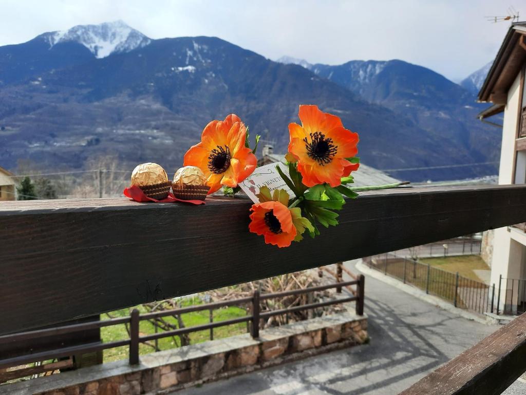 Nespecifikovaný výhled na hory nebo výhled na hory při pohledu z bed and breakfast