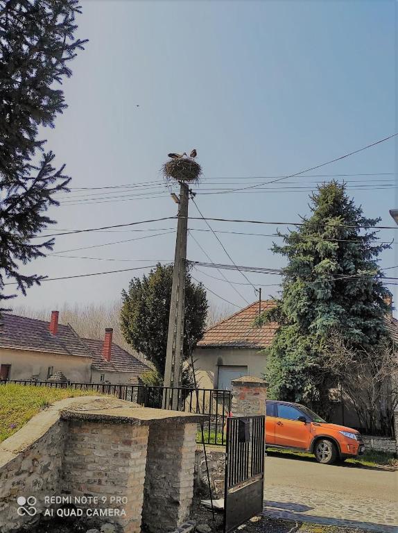 Fotografia z galérie ubytovania Luis Gólyás háza v destinácii Raposka