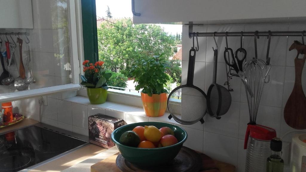 Kuchyň nebo kuchyňský kout v ubytování Holiday home Pavarotti