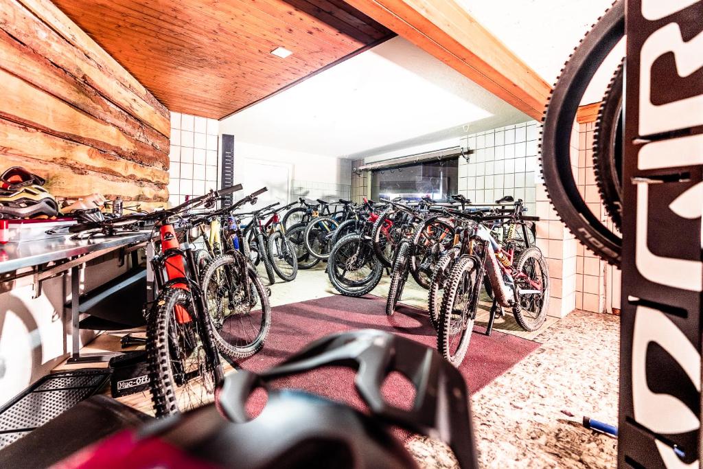 Fitness centrum a/nebo fitness zařízení v ubytování Hotel Alpenhof