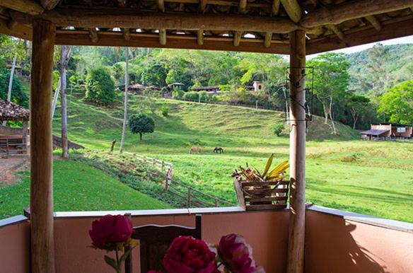  Hotel Fazenda Pirapetinga