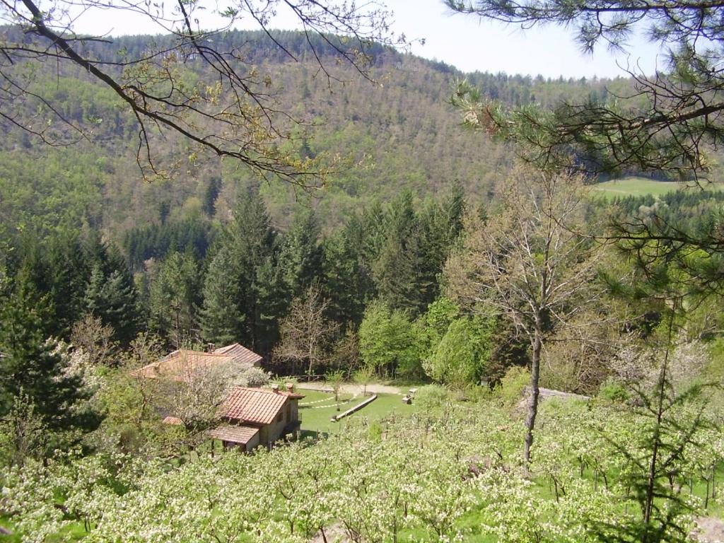 a cabin in the middle of a field of trees at Antico Fienile in Serravalle