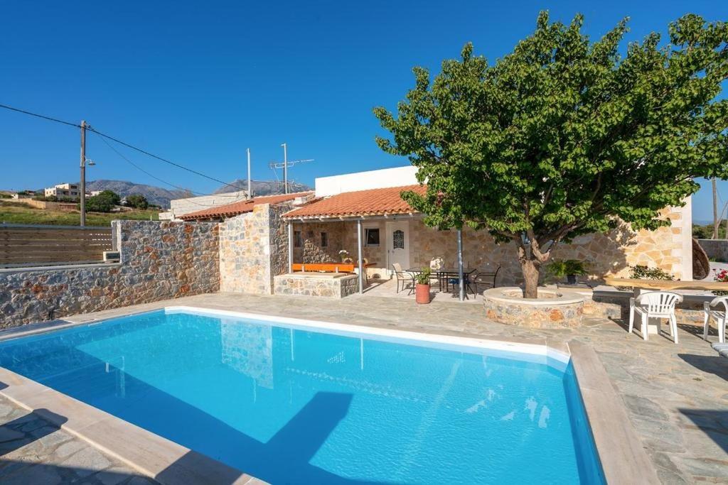 a villa with a swimming pool in front of a house at Villa Elia in Dhrámia