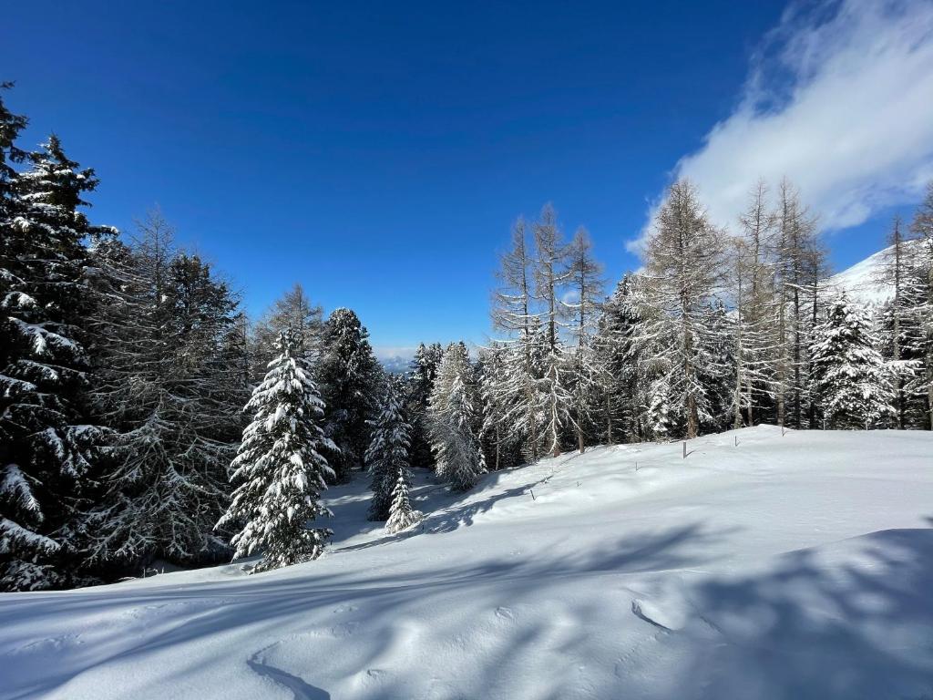Zirbitz Hütte mit Sauna und Kamin v zimě