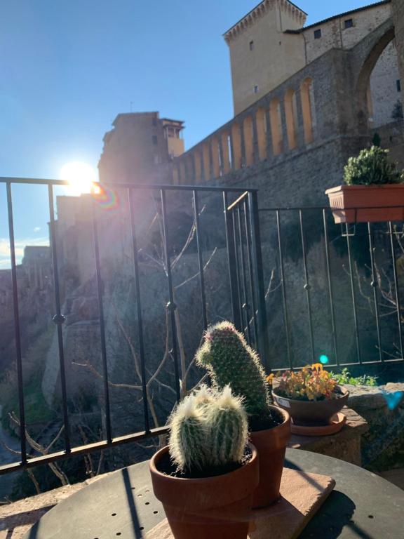 un grupo de cactus en ollas en un balcón con un castillo en Terrazza sul Tufo en Pitigliano