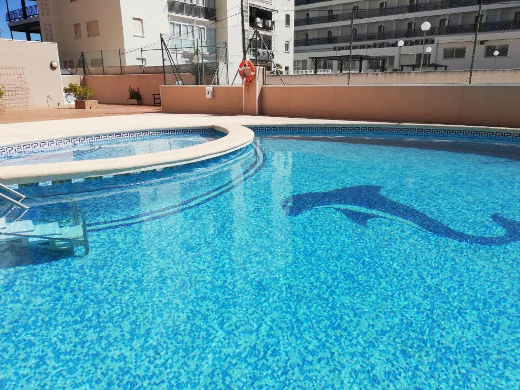 basen z dwoma delfinami w wodzie w obiekcie Caprimar Solo Familia Serviplaya w mieście Playa de Gandia